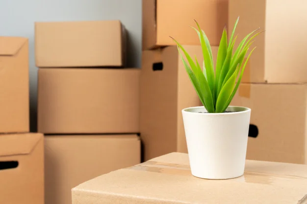 Relocation Services In Bangalore
